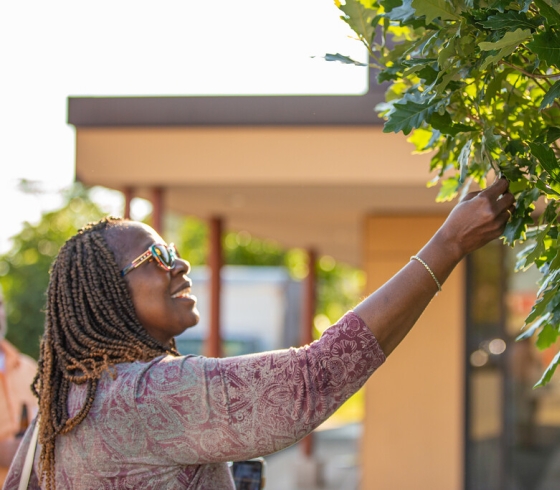 A woman touching a tree