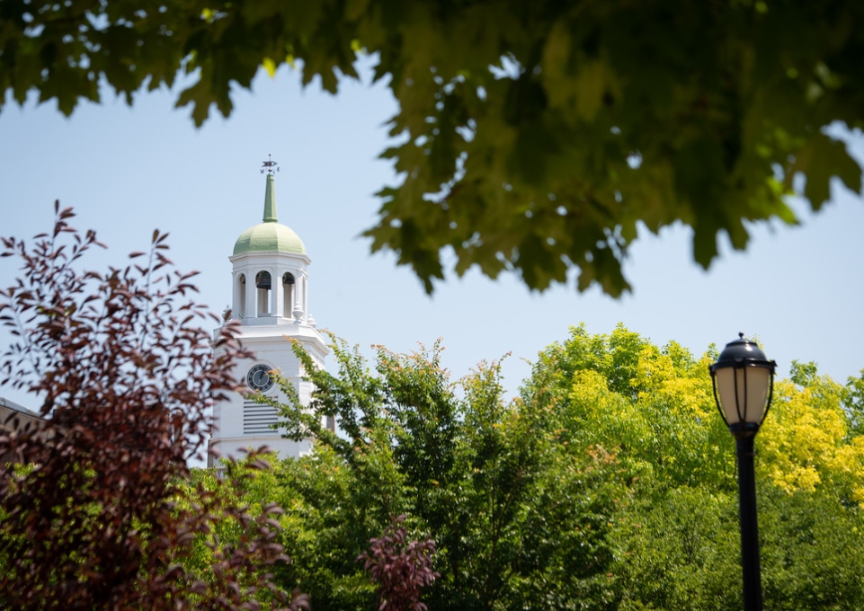 Photo of Rockwell Towerabove the trees in summer