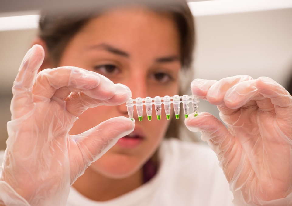 Student examines tiny vials of green liquid