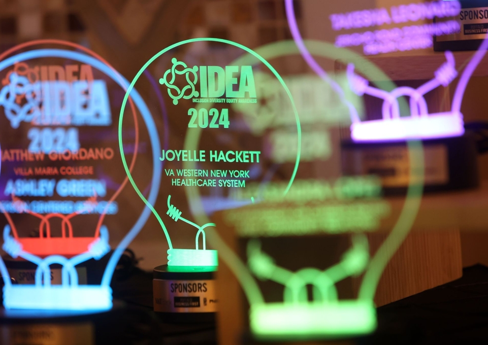 IDEA award plaques